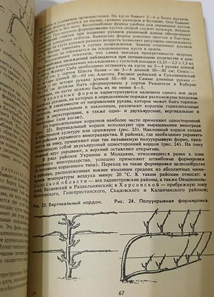Настольная книга виноградаря. 1985.  176 стр. 7