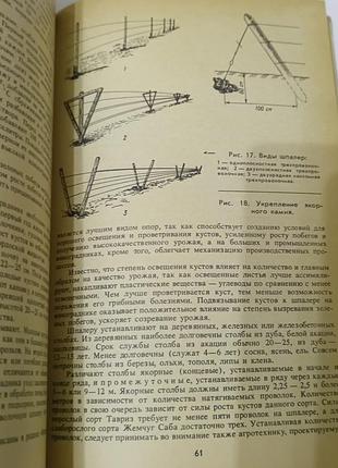 Настольная книга виноградаря. 1985.  176 стр. 8