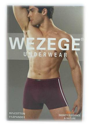 Труси чоловічі *wezege* (р.l/xl/2xl/3xl) 25938