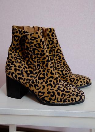 Жіночі черевики river island леопардові замшеві