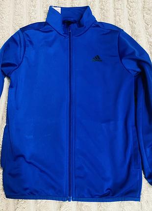 Кофта чоловіча adidas синя