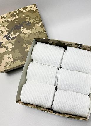 Бокс чоловічих шкарпеток в рубчик на 6 пар 40-45 у подарунковій коробці
