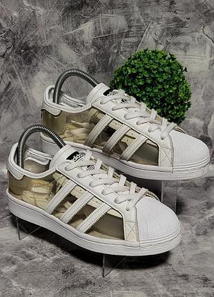Жіночі кросівки adidas superstar transparent, 38/23,5 см