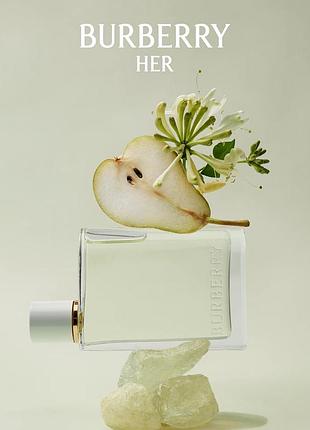 Burberry her