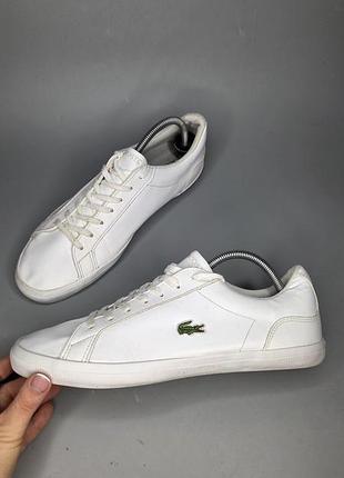 Мужские кеды lacoste