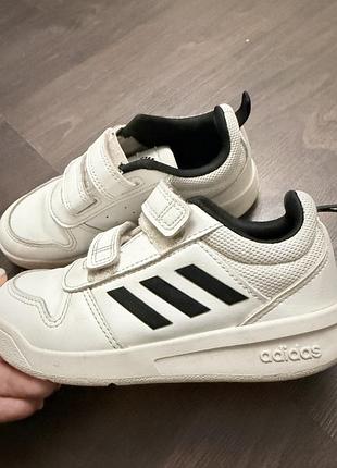 Кросівки adidas