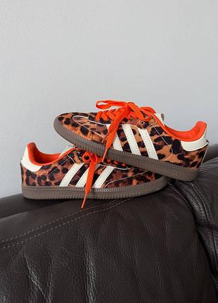 Кроссовки adidas samba leopard print premium