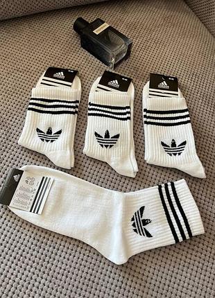 Adidas 10 пар 10.(41-45)
