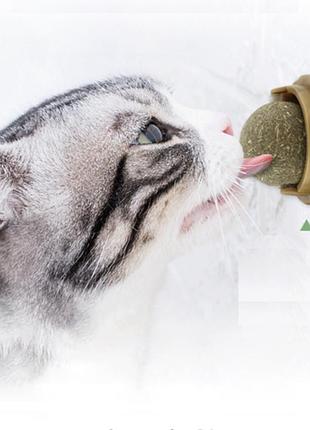 Кошачья игрушка для кошек мятный шарик кошачий леденец