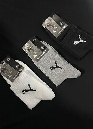 Набір шкарпетки puma