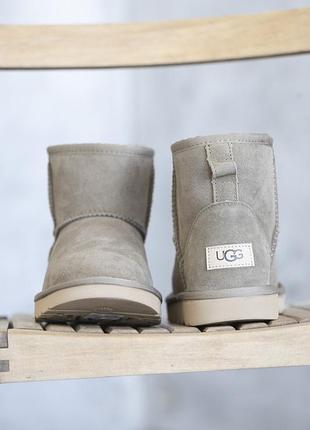 Жіночі черевики ugg mini khaki 2