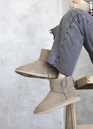 Жіночі черевики ugg mini khaki 6