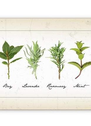 Поднос herbs 29,5x16,5cm, меламин, banquet