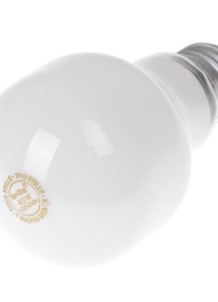 Лампа накаливания декоративная 40w e27 ww t60 soft tone 220v