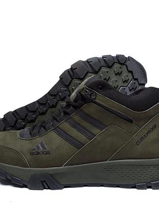 Мужские зимние кожаные ботинки adidas terrex green