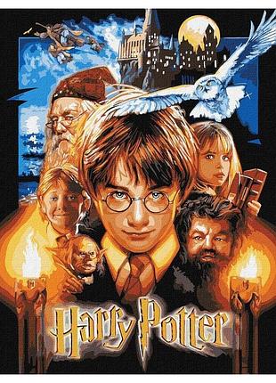 Набор для росписи wb "harry potter: постер с красками металлик" 40х50см