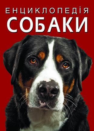 Книга "енциклопедія. собаки" — пізнавальна, для дітей, розвиваюча (f00028100)