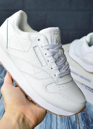 Женские кроссовки reebok classic белые рибок кожаные (размеры: 36,37)