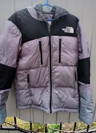 Чоловіча домісезонна куртка the north face.