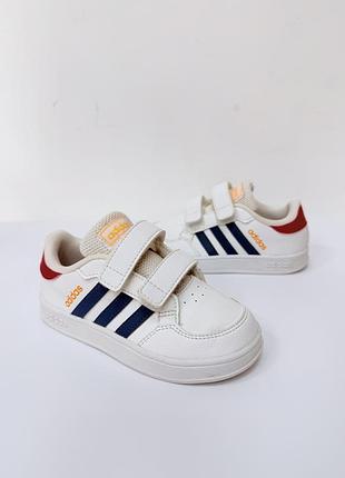 Кросівки adidas