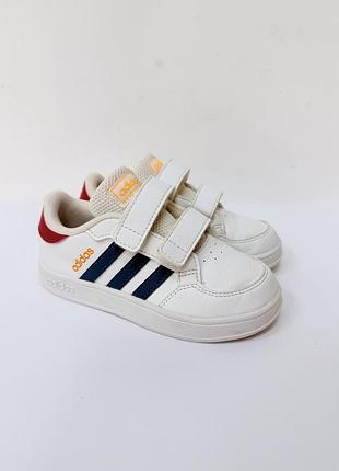 Кросівки adidas 4
