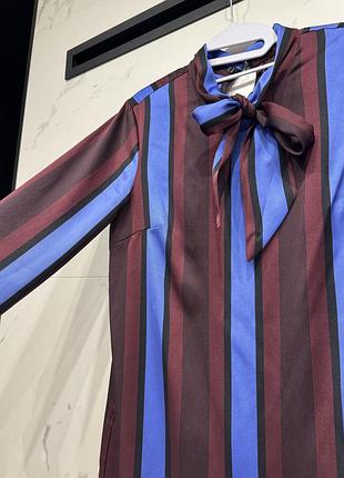 Коротка сукня жіноча zara в смужку синьо-бордова