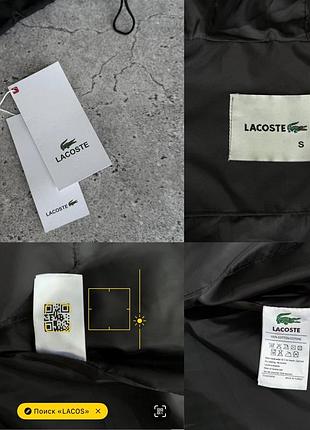 Мужская ветровка lacoste 10