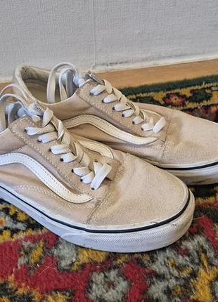Кеди бренду vans
