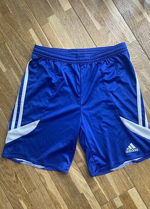 Шорти чоловічі adidas сині