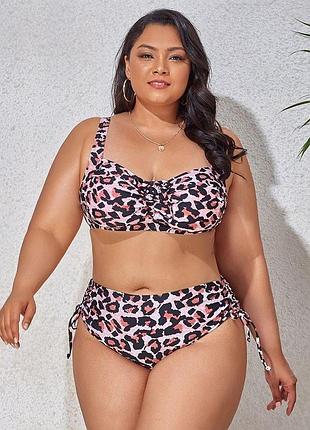 Жіночий роздільний купальник великих розмірів plus size з тонким поролоном та плавками сліпами із завищеною посадкою леопардовий