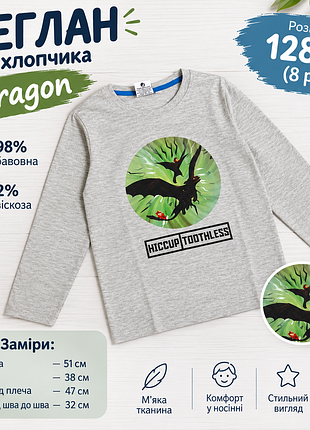 Реглан для мальчика dragon disney 
кофта
