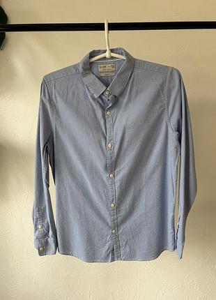 Котонова бавовняна сорочка від zara для хлопчика