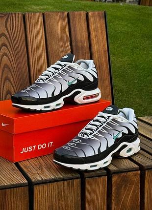 Кросівки nike air tn plus