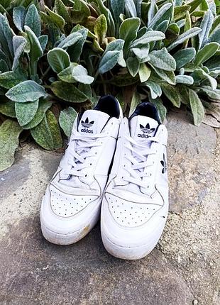 Кросівки чоловічі adidas originals forum bold, білі, розмір 41