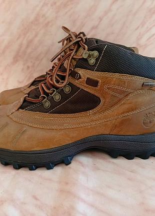 Черевики timberland gore-tex waterproof (оригінал) 2
