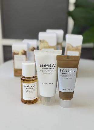 Набір для догляду за шкірою обличчя skin1004 centella (тонер 30 мл, крем 30 мл, пінка 20 мл)