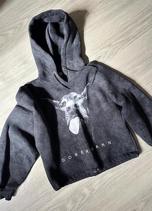 Худи теплое doberman