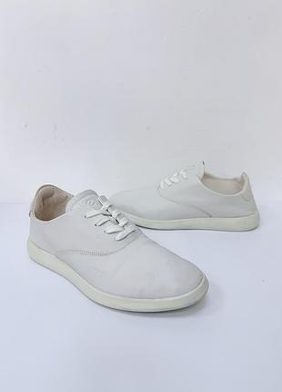 Кросівки ecco