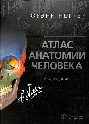 Атлас анатомии человека. 6-е изд. 2018. фрэнк неттер.