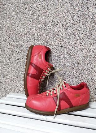 Туфлі camper
