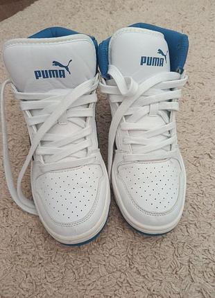 Кросівки puma rebound future nextgen білі з синім 4