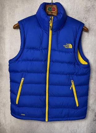 Жилетка чоловіча the north face massif vest синя, жовта