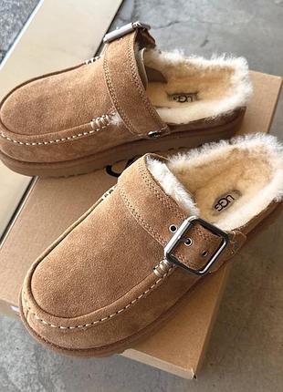Уггі жіночі ugg clogs коричневі