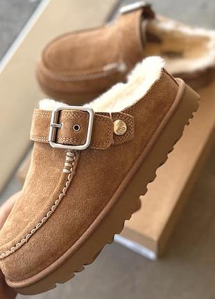 Уггі жіночі ugg clogs коричневі 2