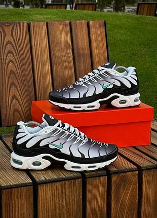 Кросівки nike air tn plus 3
