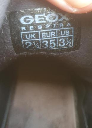 Кеди для дівчинки geox 6