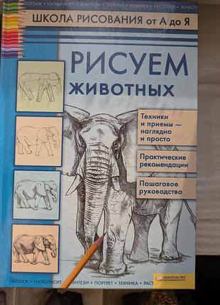 Набор книг по рисованию 4
