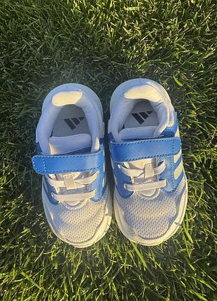 Кросівки adidas 6