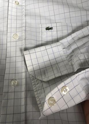Сорочка lacoste оригінал 7