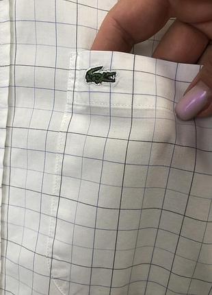 Сорочка lacoste оригінал 4